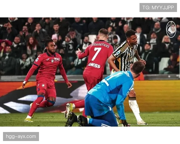 博洛尼亚边路进攻持续提升，战术执行展现清晰走势