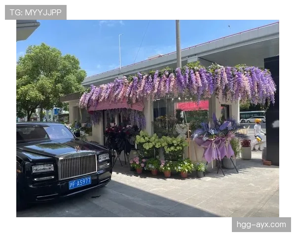 伊布家里那豪车比你小区车棚都多，真是活生生的行走富豪呀！